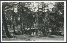 17537 Gezicht op de Acaciavijver in het bos bij Driebergen-Rijsenburg.